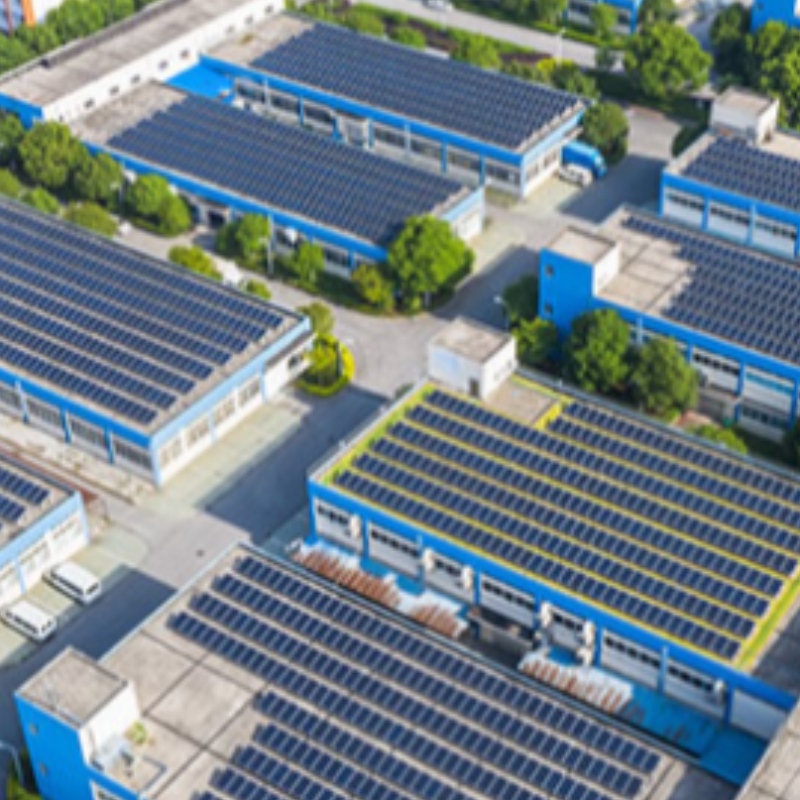 우리는 항상 햇빛과 함께 있습니다