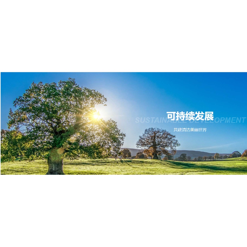 우리는 항상 햇빛과 함께 있습니다