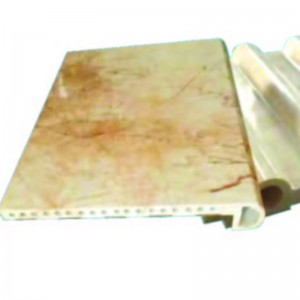 모방 대리석 시리즈가있는 플라스틱 압출 금형