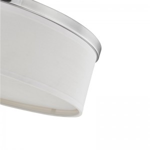 객실과 복도에서 브러시 니켈 마감 처리 된 스테이 브리지 스위트 호텔 천장 램프