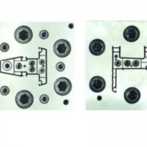 중국에서 만든 플라스틱 프로파일 곰팡이