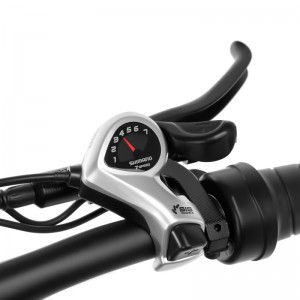 20 인치 지방 타이어 전기 자전거