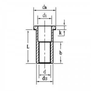 아연-컬러 도금 접시 머리 리벳 너트
