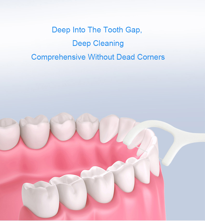 1646884277.jpg 10 pcs Portable Dental Floss For Adults Home Use High Quality ECO Dental Floss Box-5.jpg