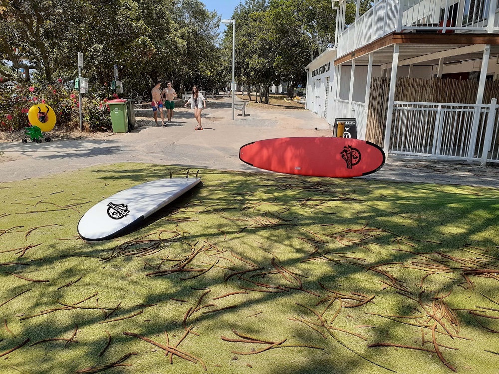 1666083570.jpg 2(8).jpg