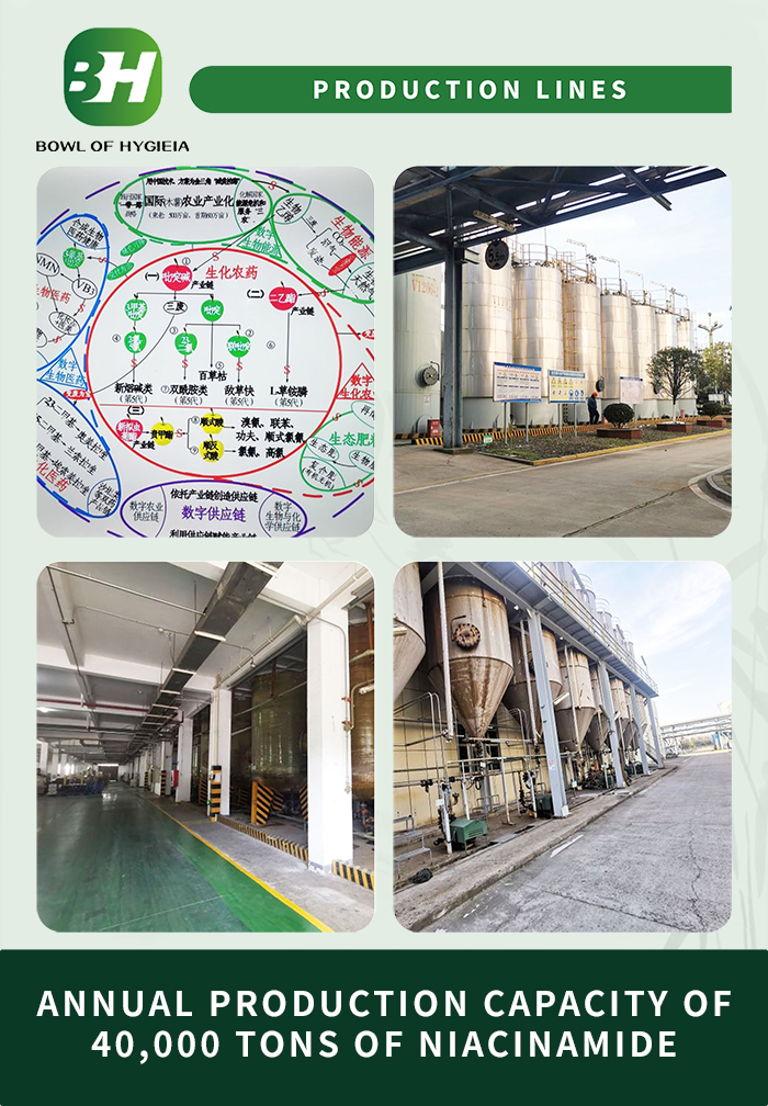 1704266432.jpg 3.jpg