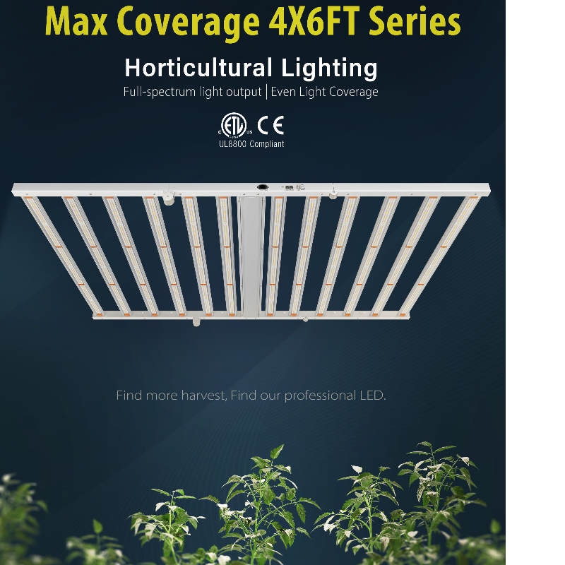 1703145626.jpg 1250W-6.jpg