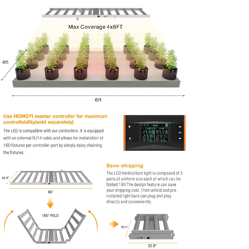 1703145662.jpg 1250W-7.jpg