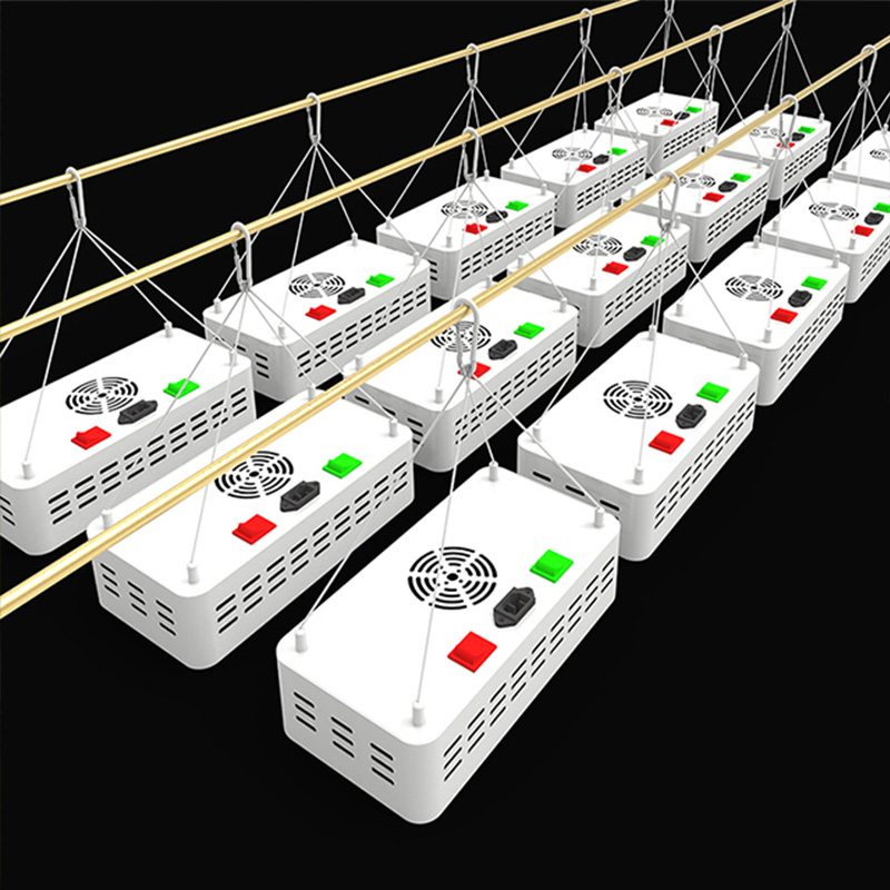 1587982763.jpg 未标题-666.jpg